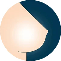 Seno cavo