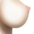 Seno cavo